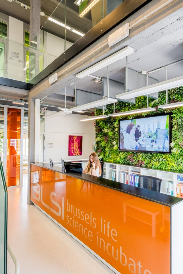 R&eacute;ception du BLSI avec comptoir d&rsquo;accueil, escalier vitr&eacute; et mur v&eacute;g&eacute;tal
