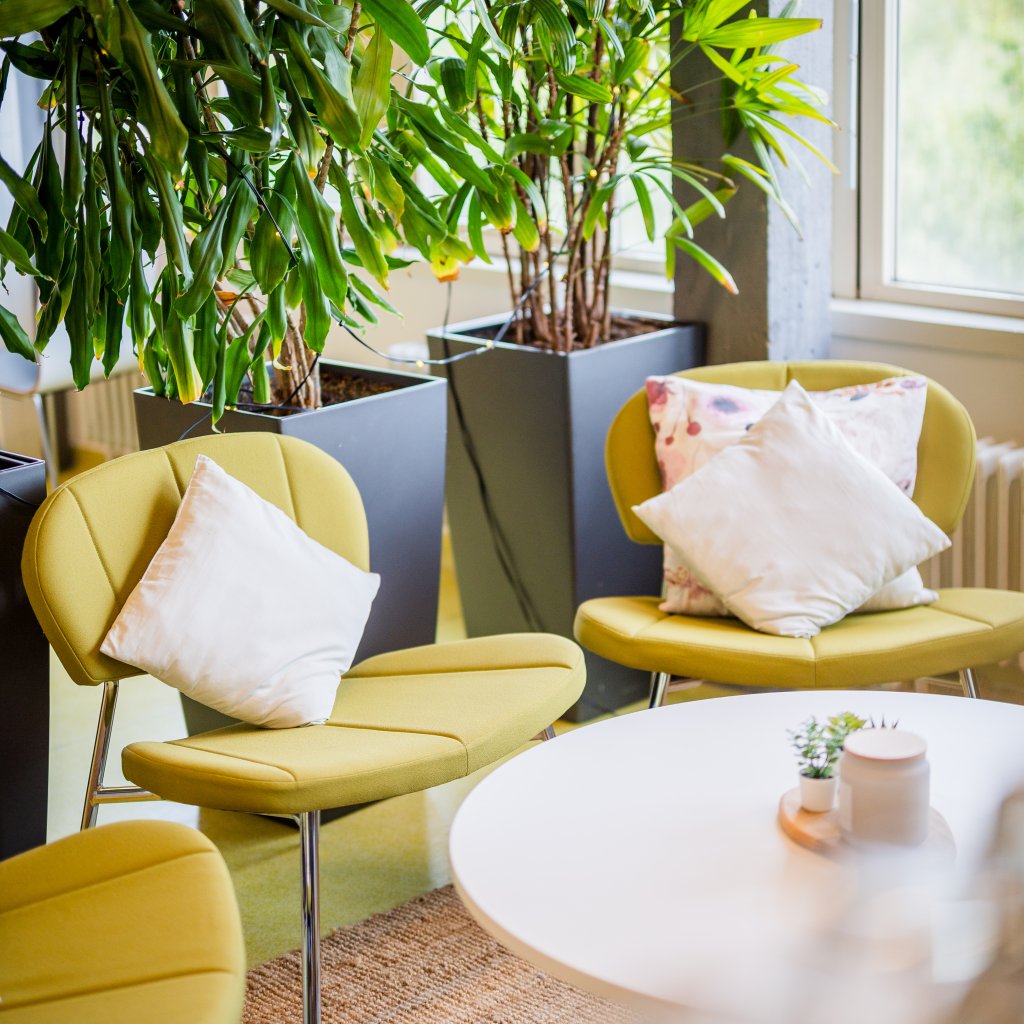 Espace d&eacute;tente du BLSI am&eacute;nag&eacute; avec des fauteuils, une table basse et de grandes plantes